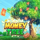 MONEY TREE