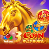 3 COIN WILD HORSE 
