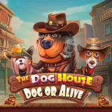 THE DOG HOUSE - GOG OR ALIVE